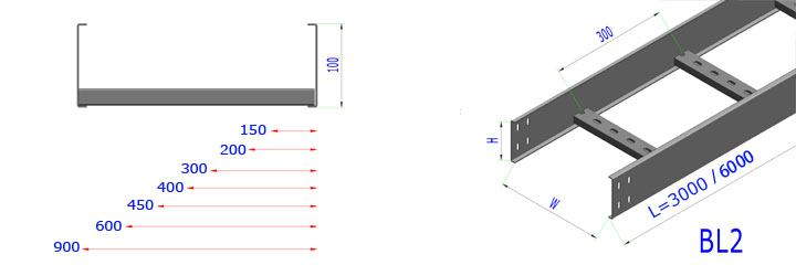 BL2-Thép-cáp-Ladder-H = 100-Factory