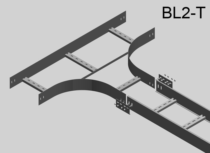 BL2-T-Tee-สำหรับขาย